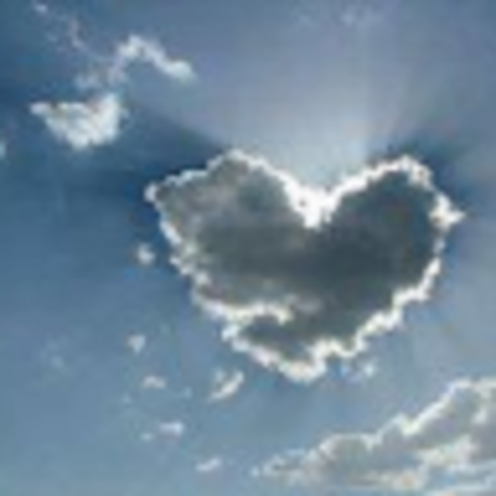 Meet your Posher, Sleepless4truth